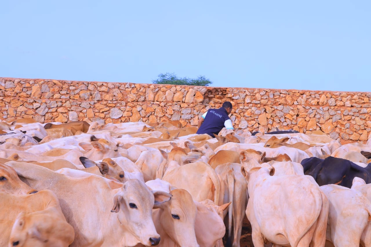 Qurban images Image 31